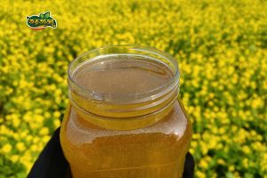সরিষা ফুলের ”র” মধু